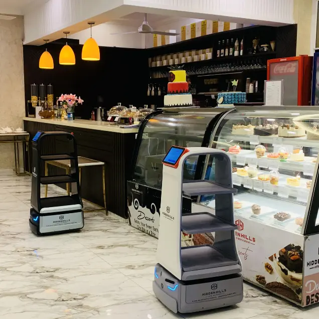 Robot Waiter at restaurant in Mansehra