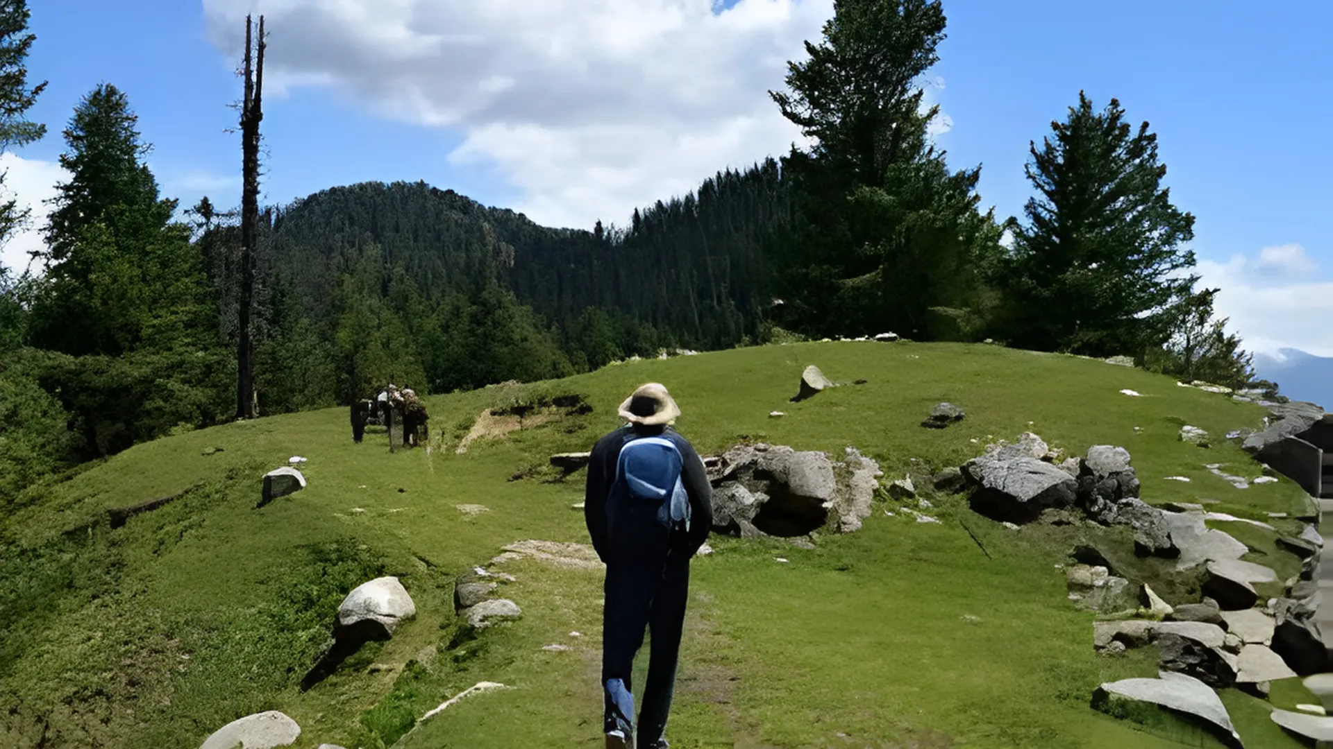 Munro Track Mansehra