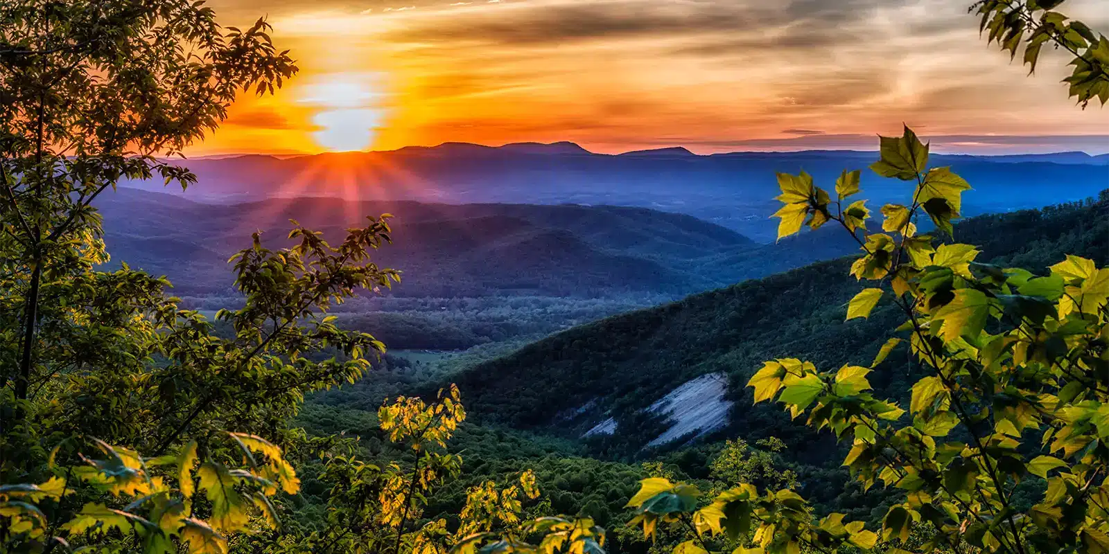 Comfortable Mountain Resort Rooms