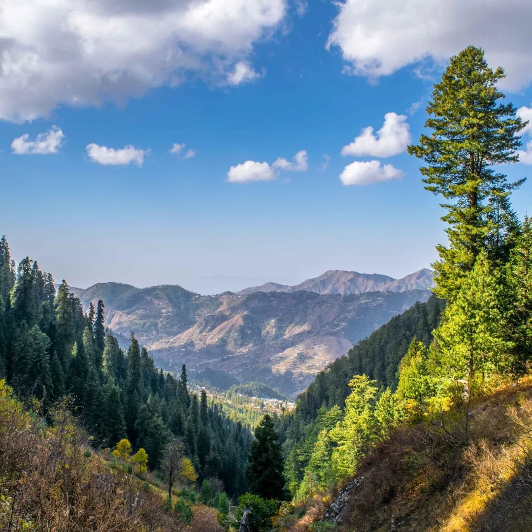 Nathia Gali Mansehra