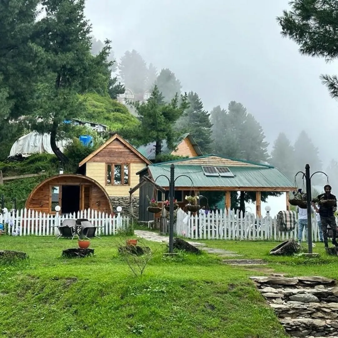 Sharan Forest Mansehra